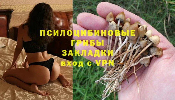 прущие крисы Абинск