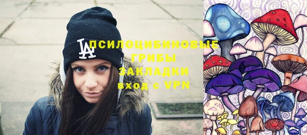 прущие крисы Абинск